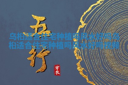 乌桕适合住宅种植 🥛 吗风水好 🤔 吗 乌桕适合住宅种植吗风水好吗视频