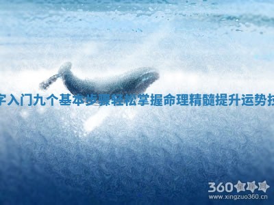八字入门九个基本 🦢 步骤轻松掌握命理 〽 精髓提升运势技巧