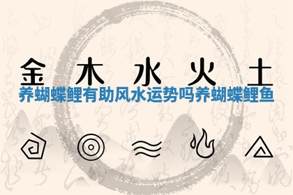 养蝴蝶鲤有助风水运势吗 🍥 🏠 养蝴蝶鲤鱼