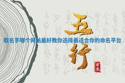 取名字 🛣 哪个网站最好 教你选 🌿 择最适合你的命名平台 取名字 🛣 哪个网站最好 教你选 🌿 择最适合你的命名平台