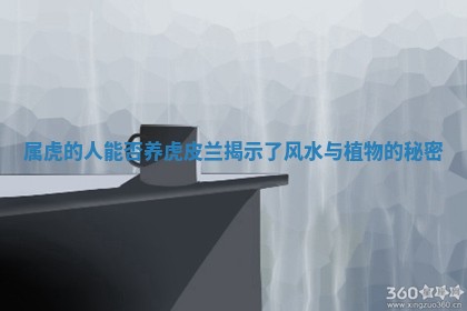 属虎的人能 👬 否养虎皮兰揭示 🕴 了风水与植物的秘密 属虎的人能 👬 否养虎皮兰揭示 🕴 了风水与植物的秘密