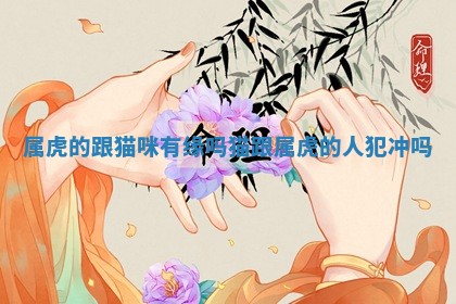 属虎的跟猫 🥛 咪有缘吗_ 😚 猫跟属虎的人犯冲吗 属虎的跟猫 🥛 咪有缘吗_ 😚 猫跟属虎的人犯冲吗