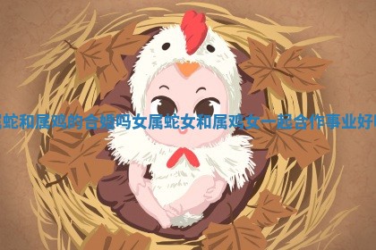 属蛇和属鸡的合婚吗女_属蛇女和 🚄 属 🌩 鸡女一起合作事业好吗