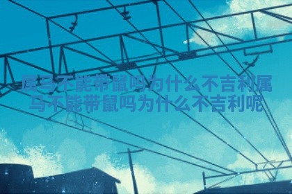 属马不能带鼠吗为什么 🙆 不吉利 属马不能带鼠 ⏫ 吗为什么不吉利呢