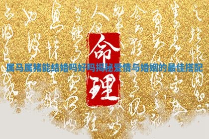 🌤 属马属猪能结婚吗好吗揭秘爱情与婚姻的最佳搭 🔏 配