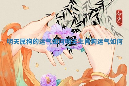 明天 🌗 属狗的运气如何_明天生肖狗运 🛰 气如何