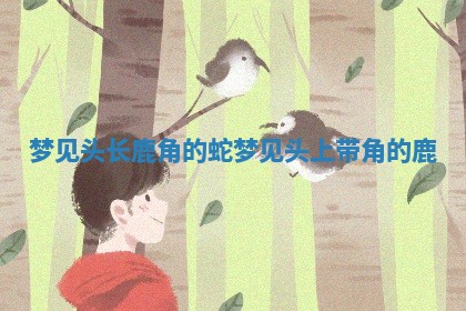 🌠 梦见头长鹿角的蛇 梦见头上带 📱 角的鹿
